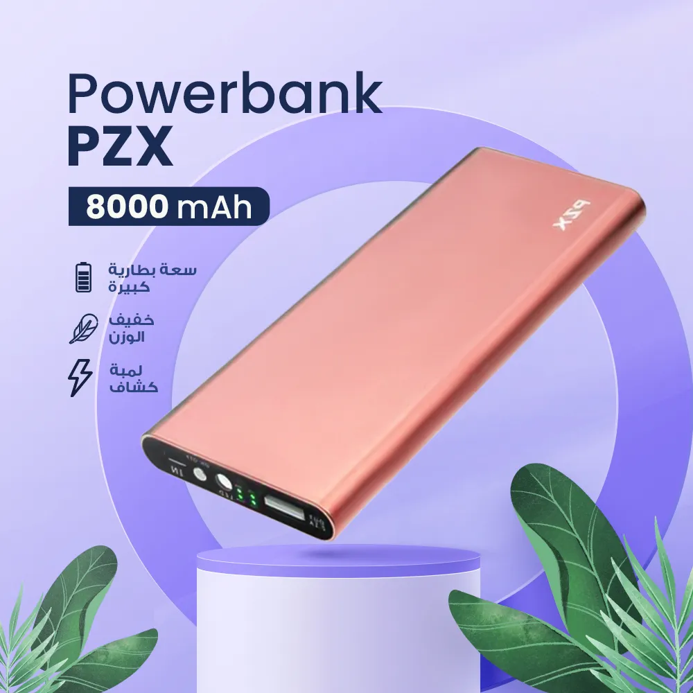 Powerbank PZX 8000 mAh
