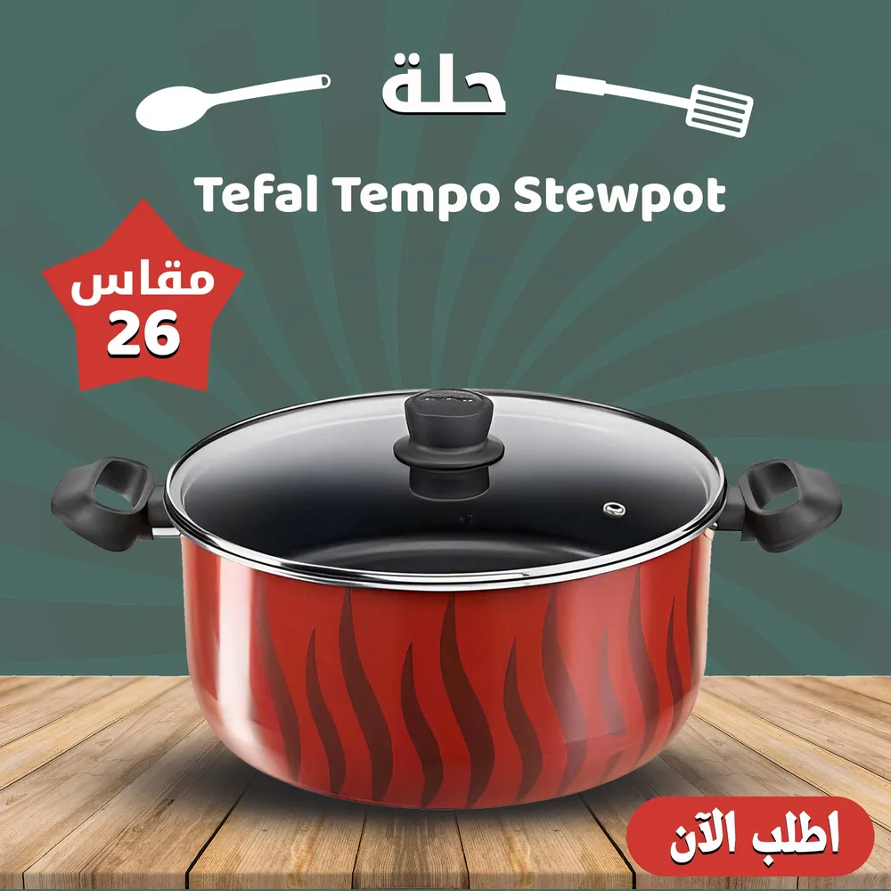 مقياس 26 Tefal Tempo Stewpot حلة