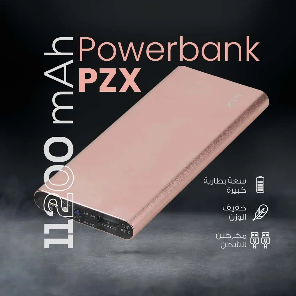 Powerbank PZX 11200 mAh